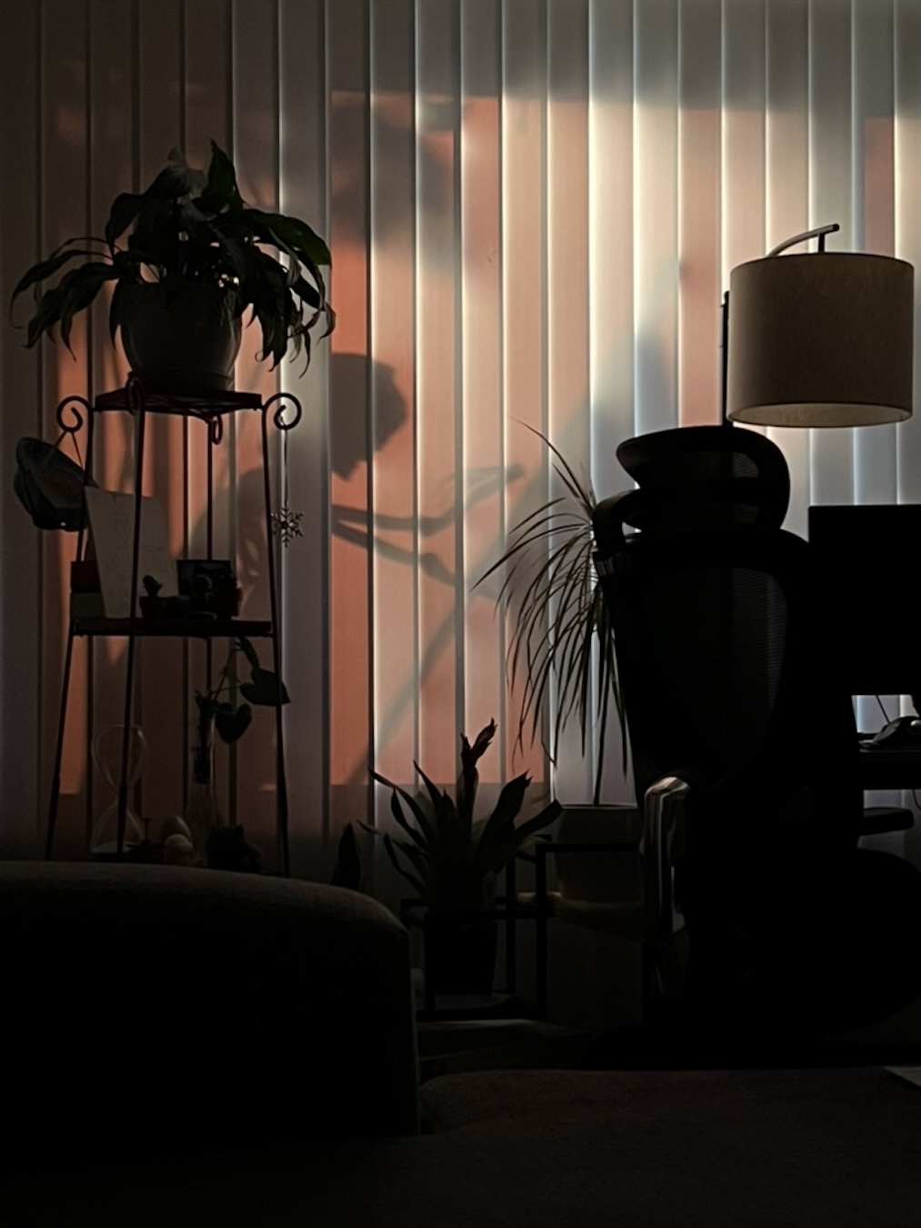 Shadows of a Skeleton