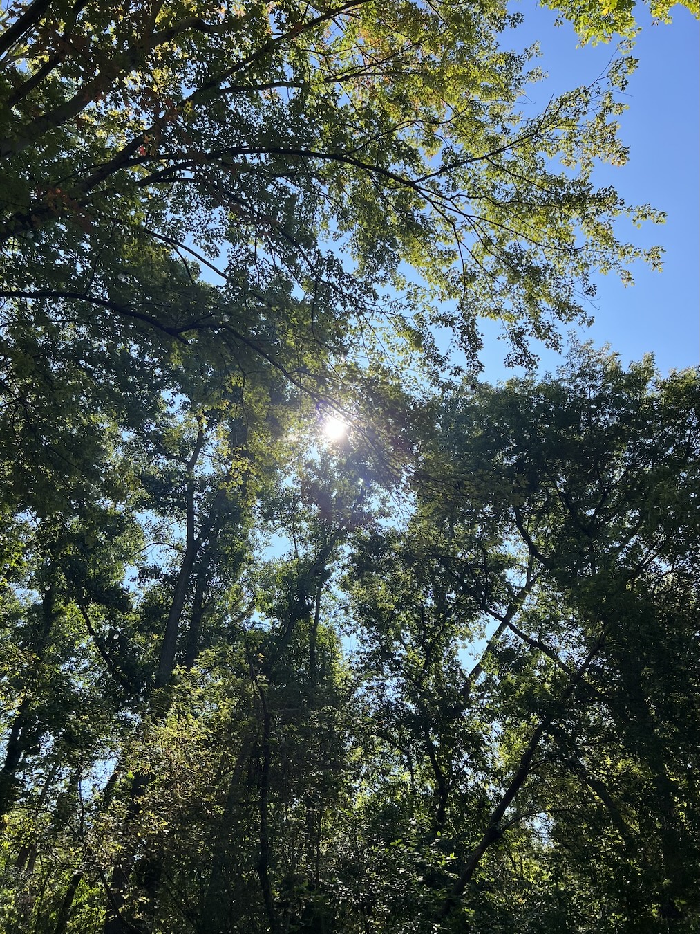 Arizona Sun Setting on Sundial